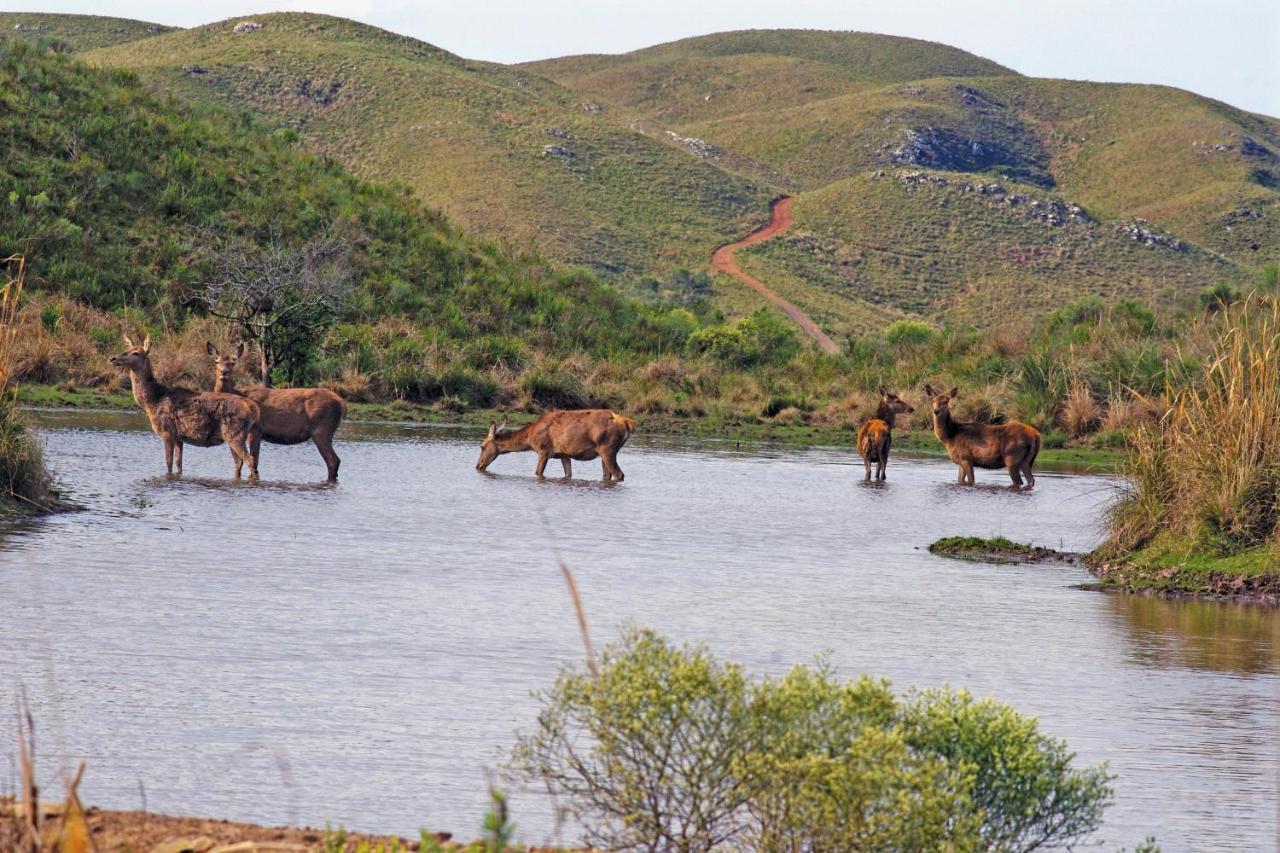 Rincon De Los Matreros Isla Patrulla エクステリア 写真